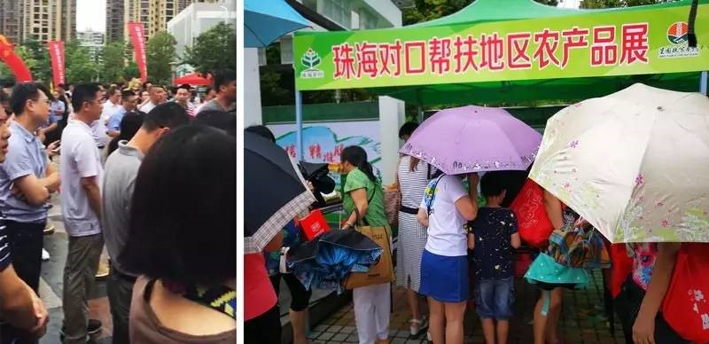 2025年新澳门精准免费大全