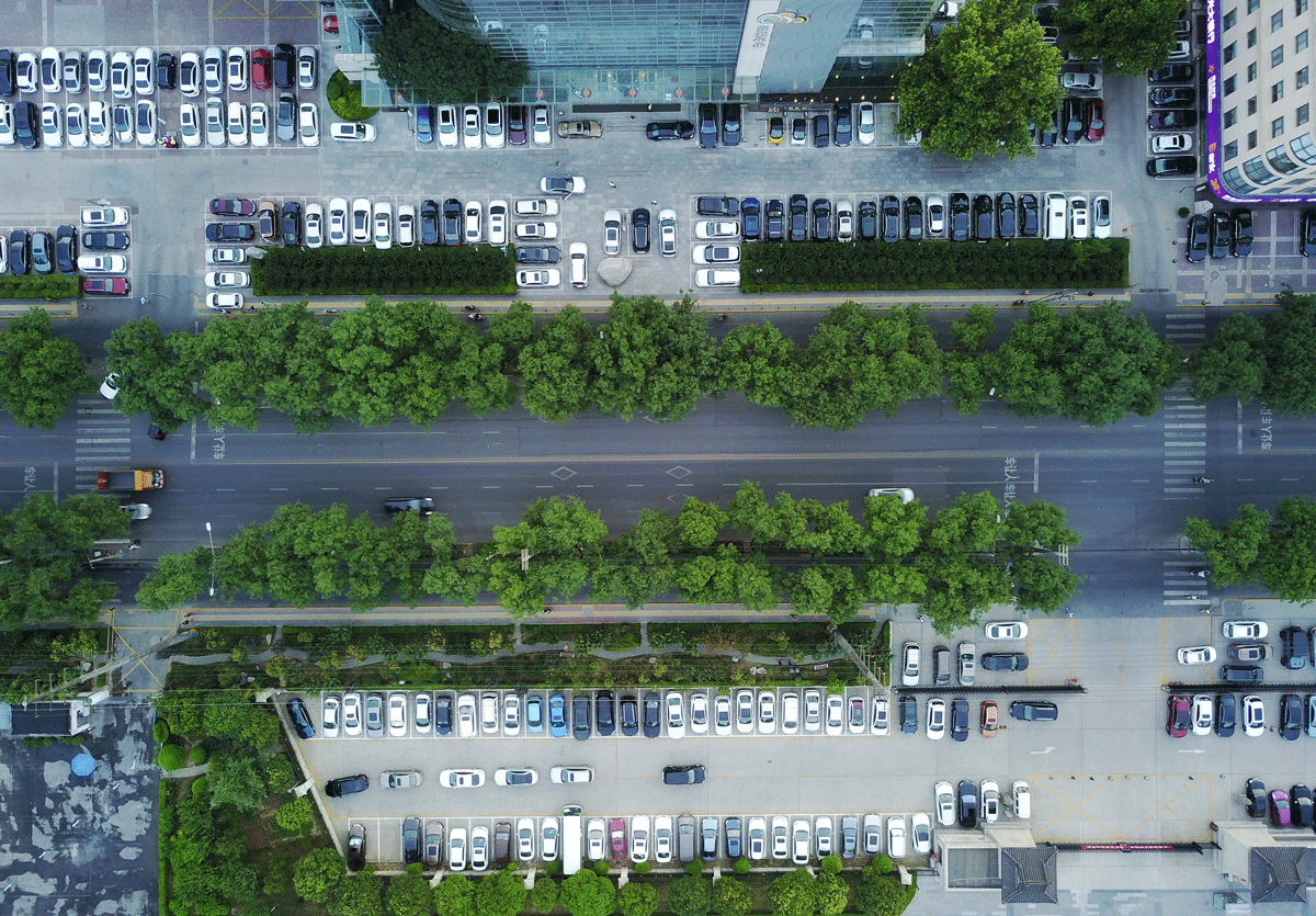 2025年新澳门精准免费大全