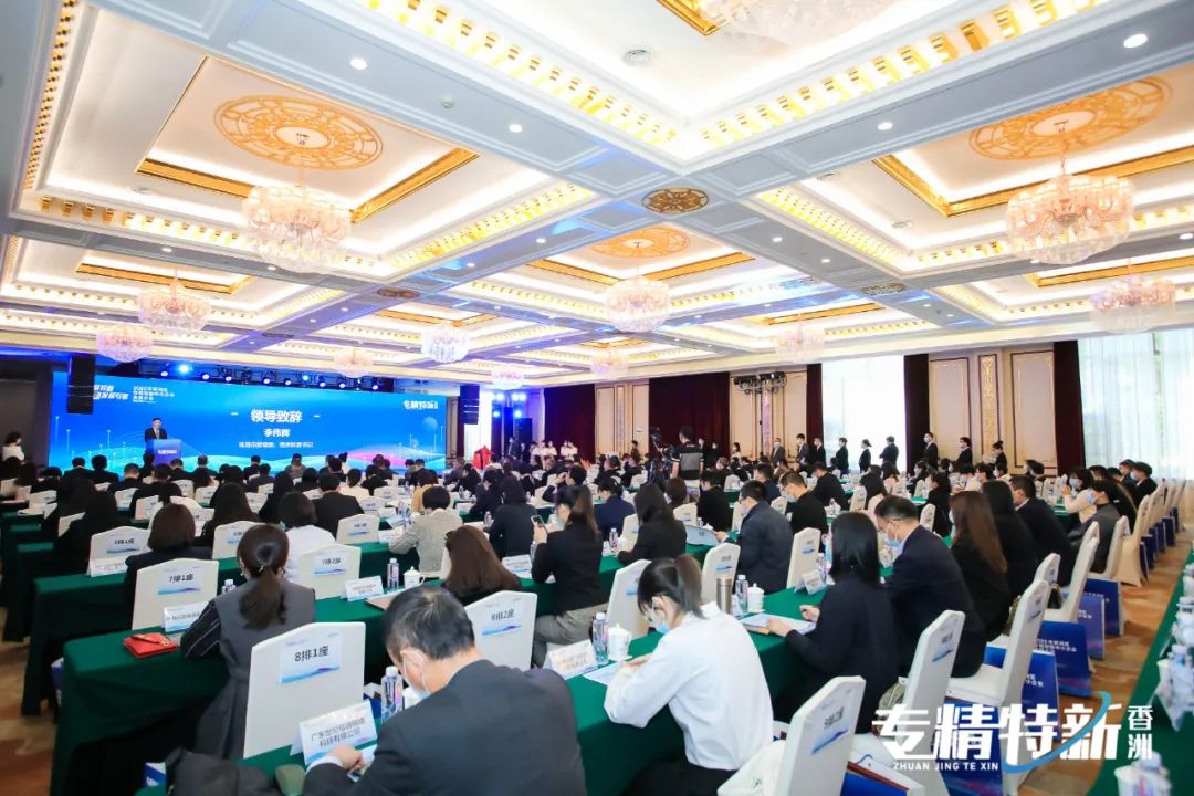 2025年新澳门精准免费大全