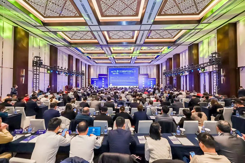 2025年新澳门精准免费大全