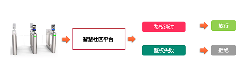 2025年新澳门精准免费大全